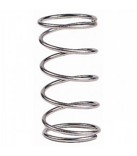 Stainless steel spring